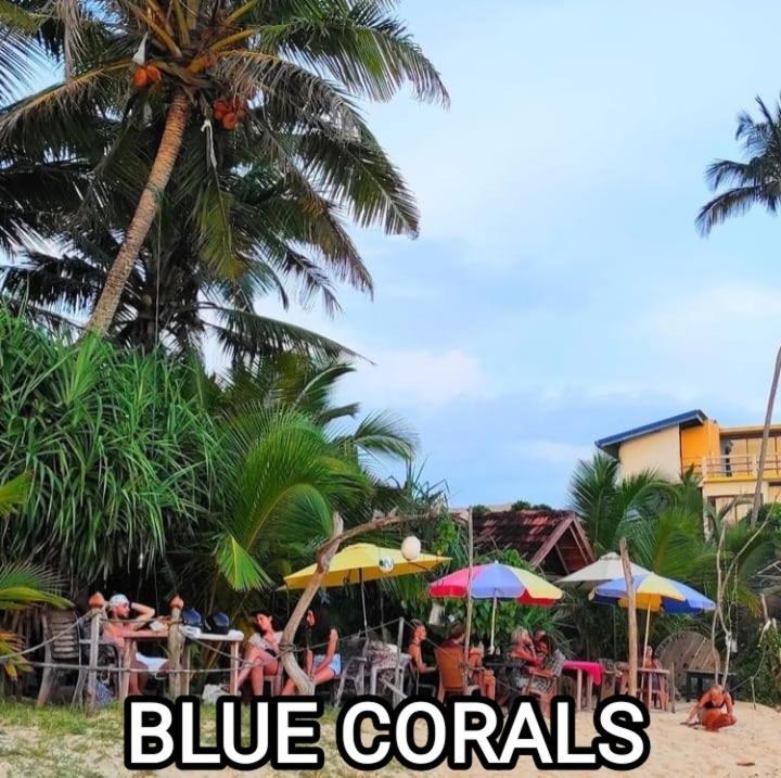 Blue Corals Beach Bungalow Matara Exterior foto