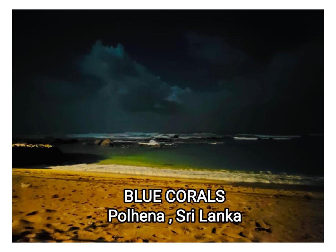 Blue Corals Beach Bungalow Matara Exterior foto