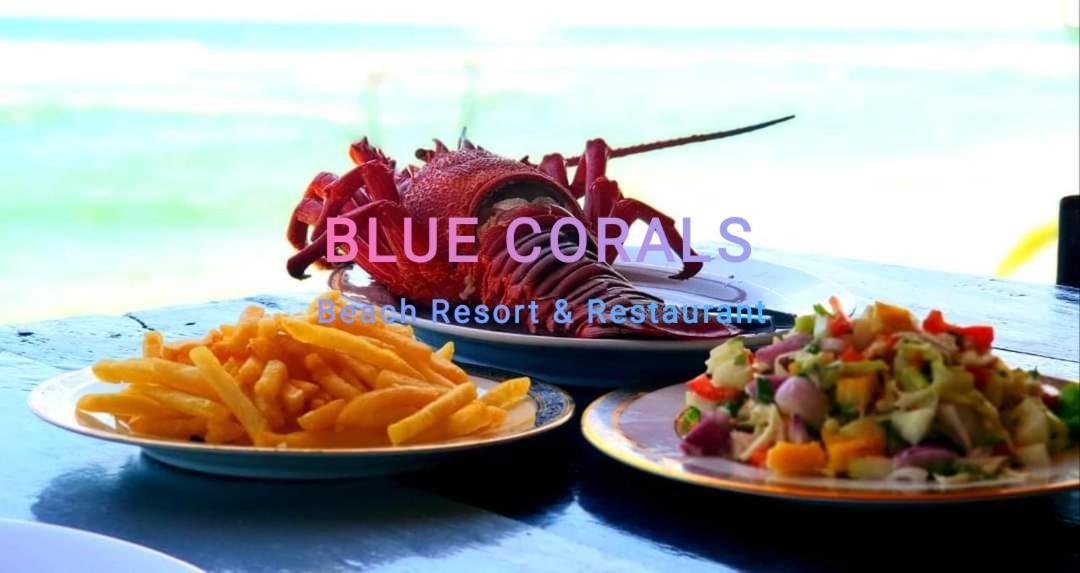 Blue Corals Beach Bungalow Matara Exterior foto