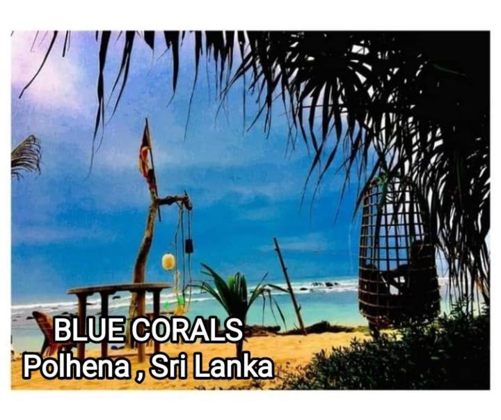 Blue Corals Beach Bungalow Matara Exterior foto